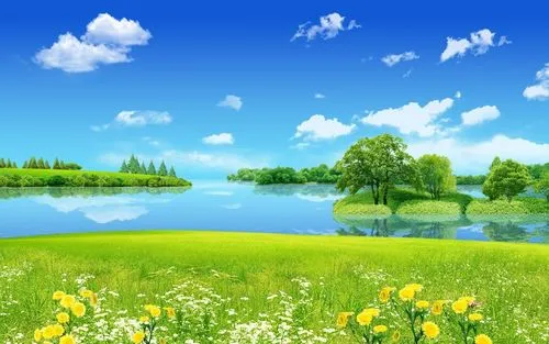 节能全自动精密